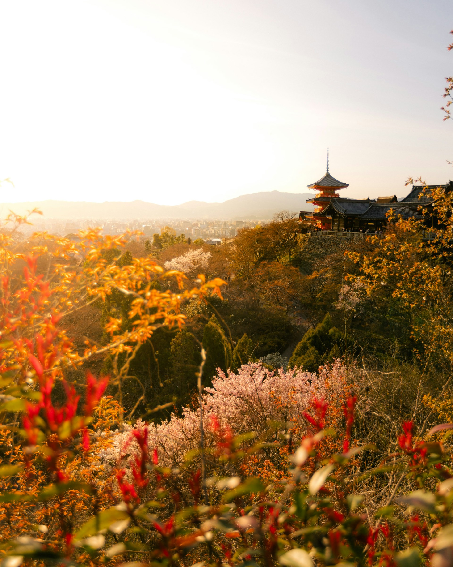 秋の清水寺
